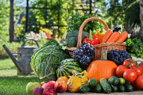 德清農(nóng)副產(chǎn)品特色美食歡樂購開啟，新鮮蔬菜等您來選購