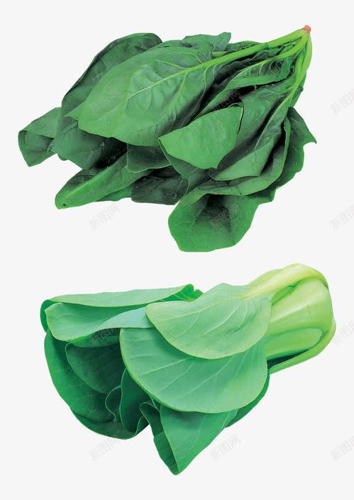 綠色蔬菜高清素材 打造自然清新的電商設計與平面創意