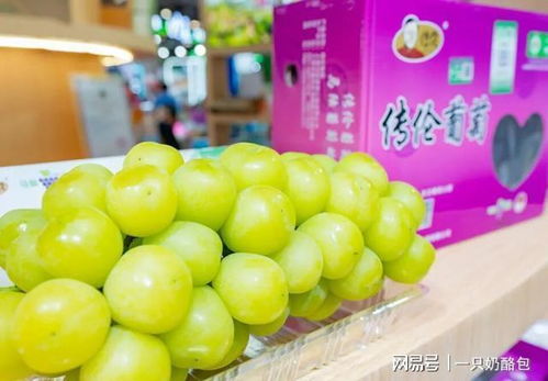 滬產優品產銷會放異彩 四款明星苗木農產品憑啥出圈