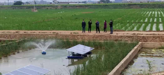 陸良縣強(qiáng)化養(yǎng)殖尾水治理，推動(dòng)內(nèi)陸水產(chǎn)養(yǎng)殖綠色可持續(xù)發(fā)展