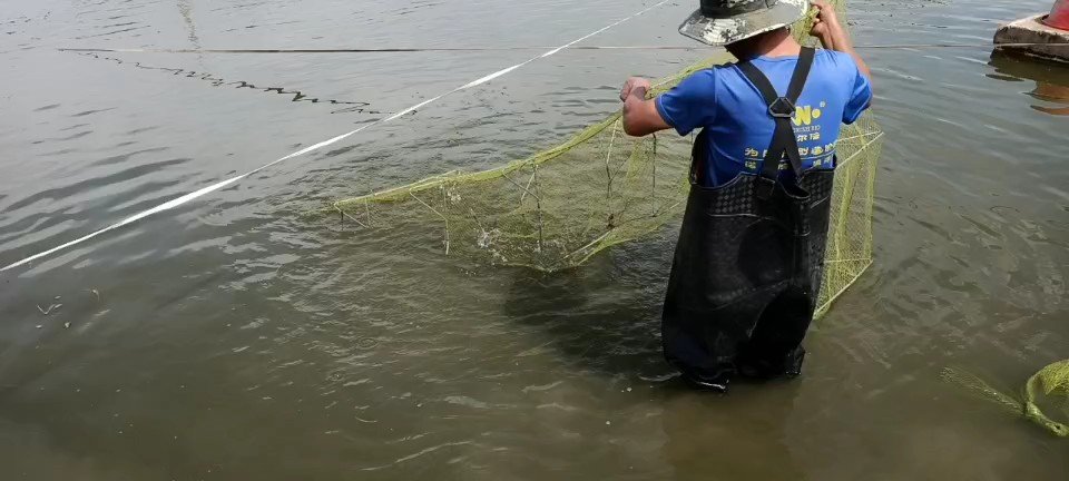 新疆"海鮮"火出圈兒 "內陸海鮮"如何養殖?