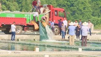 三都縣生態(tài)水產(chǎn)養(yǎng)殖企業(yè)正式投產(chǎn) 省財(cái)政廳駐村工作隊(duì)助力產(chǎn)業(yè)振興