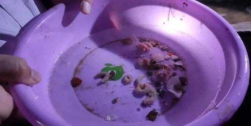 威海市推進(jìn)水產(chǎn)健康養(yǎng)殖 示范場驗(yàn)收與原良種場考察并舉，助力內(nèi)陸水產(chǎn)養(yǎng)殖銷售提質(zhì)增效