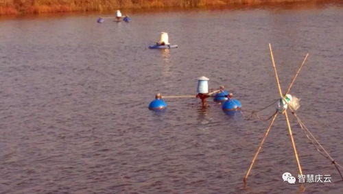 慶云海天水產養殖榮膺省級健康示范場，探索內陸水產養殖與銷售新路徑