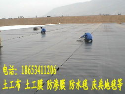 內(nèi)陸水產(chǎn)養(yǎng)殖 從池塘到餐桌的全鏈條發(fā)展策略