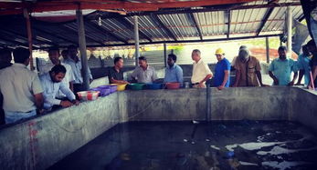 斯里蘭卡召開(kāi)海參生態(tài)養(yǎng)殖技術(shù)推廣現(xiàn)場(chǎng)會(huì)，推動(dòng)內(nèi)陸水產(chǎn)養(yǎng)殖與銷(xiāo)售協(xié)同發(fā)展